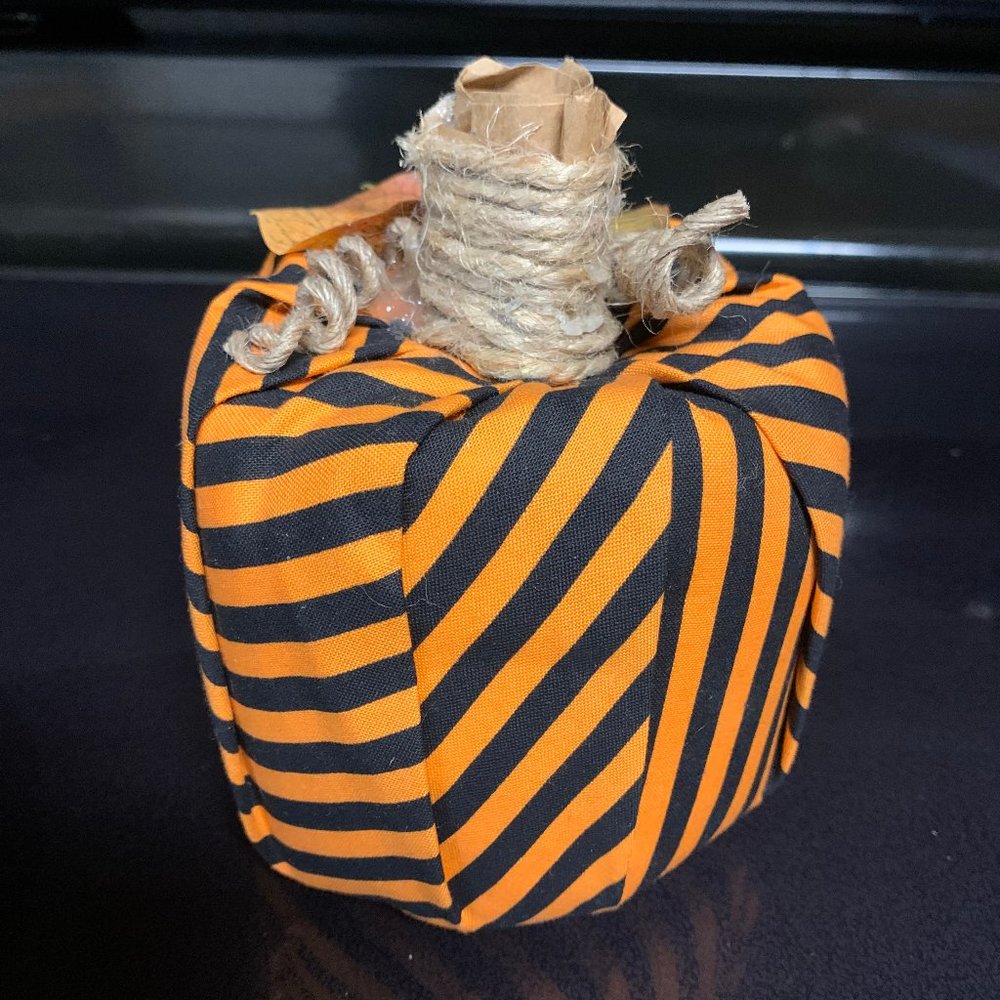 Fall/Thanksgiving striped pumpkin